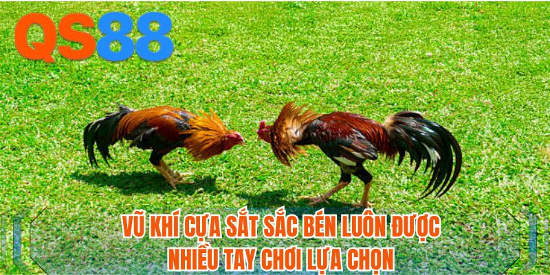 Vũ khí cựa sắt sắc bén luôn được nhiều tay chơi lựa chọn